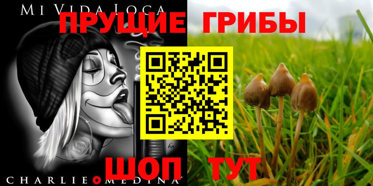 Псилоцибиновые грибы GOLDEN TEACHER  Галлюциногенные грибы MAGIC MUSHROOMS  Вход с VPN  Кунгур 