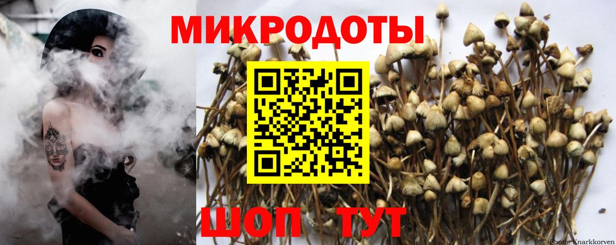 Галлюциногенные грибы мухоморы Кунгур